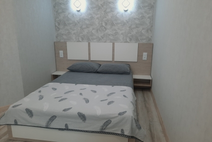 Центр.БРУ. Площадь Ленина. Новый дом. Часы от 40 р