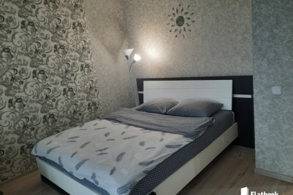 Центр. БРУ. Площадь Ленина. Новостройка.Часы от 40