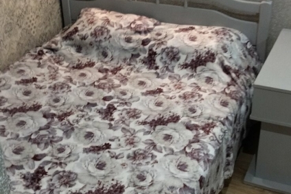 Квартира в центре! г-ца Могилев. Ночь 40р, часы 15р