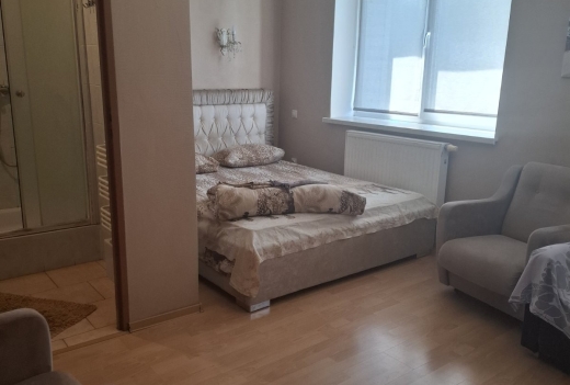 Коттедж в центре Могилева